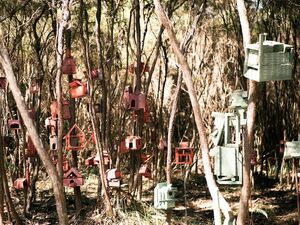 Understory Art and Nature Trail Photo by Jeremy Crome